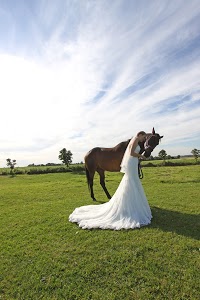 Dont Pose Wedding Photography 1094019 Image 1